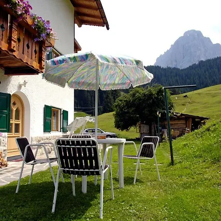 Insam Selva di Val Gardena